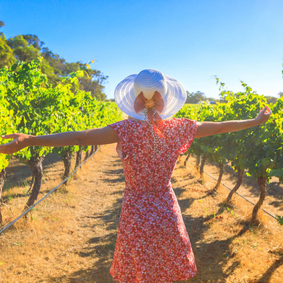 girl in pink in vineyard