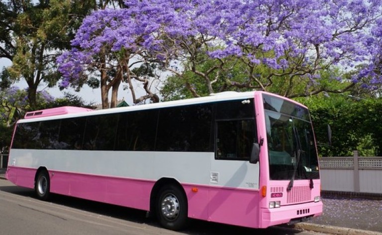 pink party bus