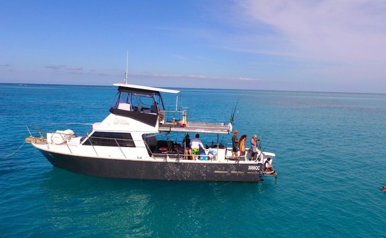 cairns reef the bucks co