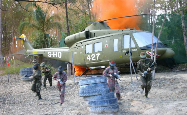 skirmish action hens